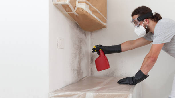 Professional Mold Removal technician working in Bethpage, NY